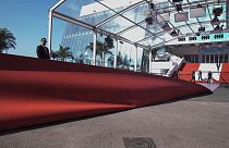 Le Festival de Cannes (17 mai 2022)