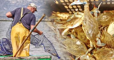 Fishing Nets for sale in Athens, Greece