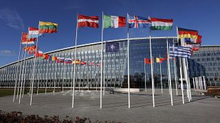 Finlandiya ve İsveç NATO'ya resmi üyelik başvurularını yaptı