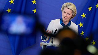 President Ursula von der Leyen said joint procurement of gas will avoid competition between member states.