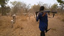 28 killed in attempted cattle raids in South Sudan