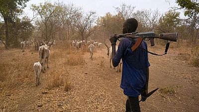 28 killed in attempted cattle raids in South Sudan