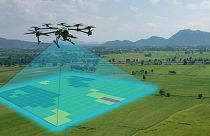 Une entreprise prévoit de planter 100 millions d'arbres d'ici 2024, en larguant des graines depuis des drones dans le ciel.