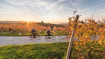 Cyclists enjoying bela krajina, one of the destinations on Slovenia's “Green Capitals Route” 