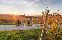 Cyclists enjoying bela krajina, one of the destinations on Slovenia's “Green Capitals Route”