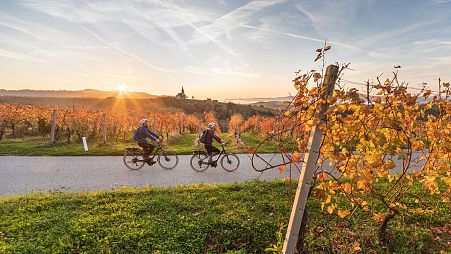 Cyclists enjoying bela krajina, one of the destinations on Slovenia's “Green Capitals Route”