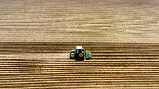 Traktor bei der Getreideernte - Symbolbild