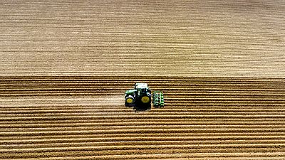 Traktor bei der Getreideernte - Symbolbild