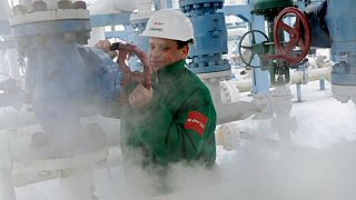 An engineer checks the pressure in the pipeline pumping natural gas out of the underground storage near the Ukrainian border in Hajduszoboszlo, Hungary, Jan. 7, 2009.
