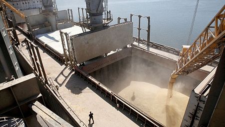 Ukraine is a major exporter of barley grain (pictured here at a dockyard in 2013), as well as wheat, corn and sunflower oil.