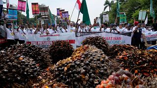 Des agriculteurs indonésiens manifestent contre la décision de bloquer les exportations d'huile de palme, Jakarta, 17 mai 2022.