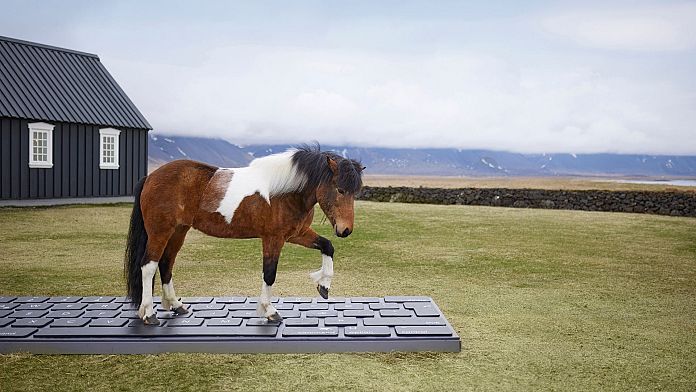 Iceland: Disconnect on holiday by letting a horse take care of your inbox, suggests tourism board