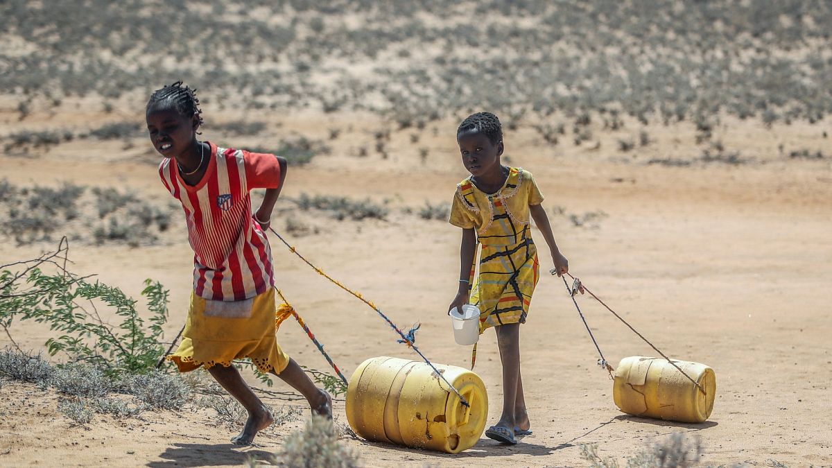 Des jeunes filles ramènent des bidons d'eau depuis un puit dans le nord du Kenya, 12 mai 2022.