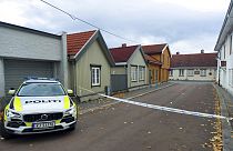 Νορβηγική αστυνομία - φώτο αρχείου