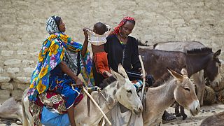 Sahel : 18 millions de personnes au bord de l'insécurité alimentaire