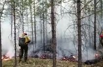 Tűzoltók oltják a tüzet egy oroszországi erdőben.