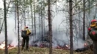 Tűzoltók oltják a tüzet egy oroszországi erdőben.