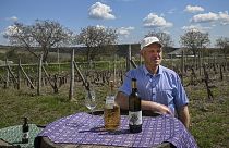 71-year-old winemaker Nicolae Tronciu poses in his vineyard in the Moldovan village of Pereni on 30 April 2022