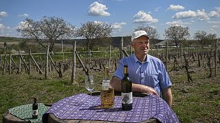 71-year-old winemaker Nicolae Tronciu poses in his vineyard in the Moldovan village of Pereni on 30 April 2022