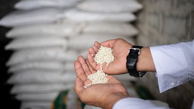 Escassez de fertilizantes na Venezuela