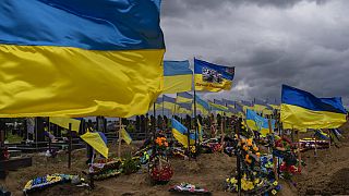 Un cementerio cubierto de banderas ucranianas