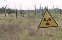 La Agencia Internacional de la Energía Atómica asegura que el nivel de radiación registrado en las trincheras no es letal