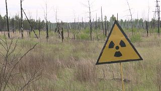 La centrale nucleare di Chernobyl potrebbe aver subito seri danni ailaboratori di monitoraggio