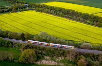 Tren regional en las cercanías de Fráncfort, Alemania 2/5/2022