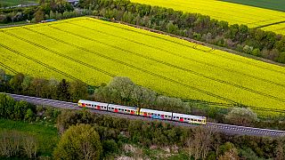 Tren regional en las cercanías de Fráncfort, Alemania 2/5/2022