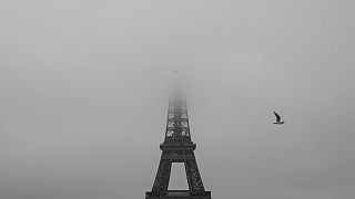 A seagull flies past the Effiel Tower partially shrouded by fog on February 6, 2019 in Paris.