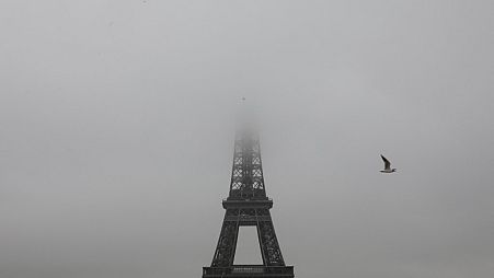 A seagull flies past the Effiel Tower partially shrouded by fog on February 6, 2019 in Paris.