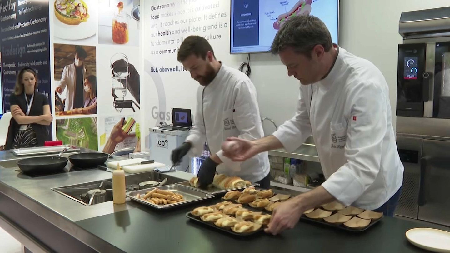 España | Cocina del futuro contra la obesidad y la diabetes en el Basque  Culinary Center | Euronews