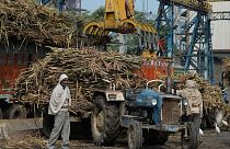 کشاورزان هندی در کارخانه تصفیه شکر در ایالت شمالی اوتار پرادش در هند