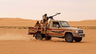 Niger's army kill about 40 jihadists