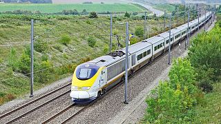 Rail company Eurostar will offer passengers the opportunity to plant a tree when booking their ticket. 