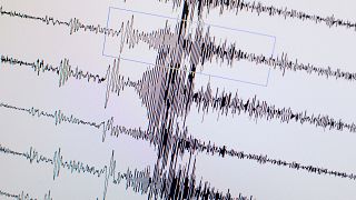 شاشة تعرض المخطط الزلزالي في مركز هانوفر للعلوم الجيولوجية وسط ألمانيا.