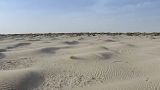 Vista del Parque Nacional de Doñana, cerca de Huelva, en el sur de España