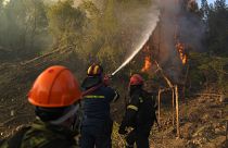 Yunanistan'daki orman yangınları