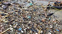 Частицы и волокна микропластика можно обнаружить в самых удалённых районах мирового океана