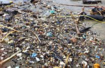 Частицы и волокна микропластика можно обнаружить в самых удалённых районах мирового океана