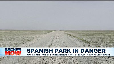 Spanish Park in danger