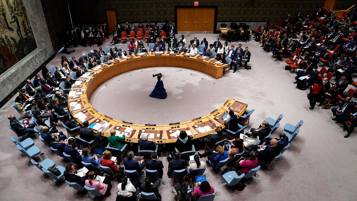 BM Güvenlik Konseyi Toplantısı / arşiv
