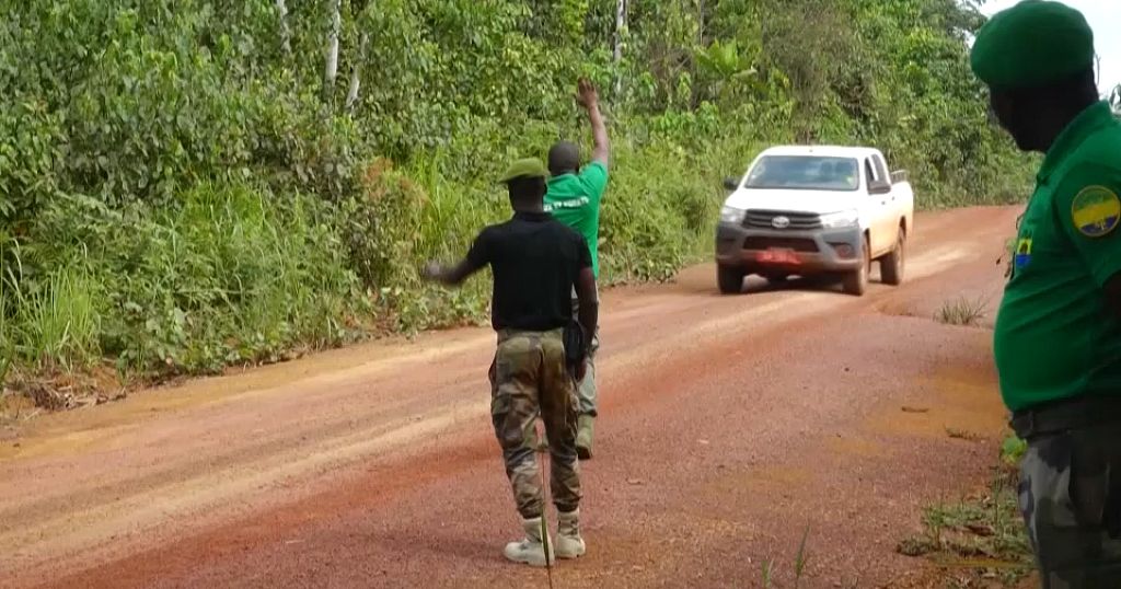 Gabon launches anti-poaching operation - Vimarsana News