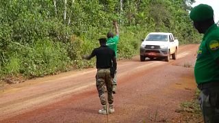 Gabon launches anti-poaching operation