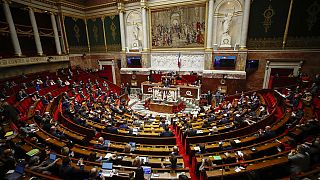 Vue générale du Parlement français, avril 2021
