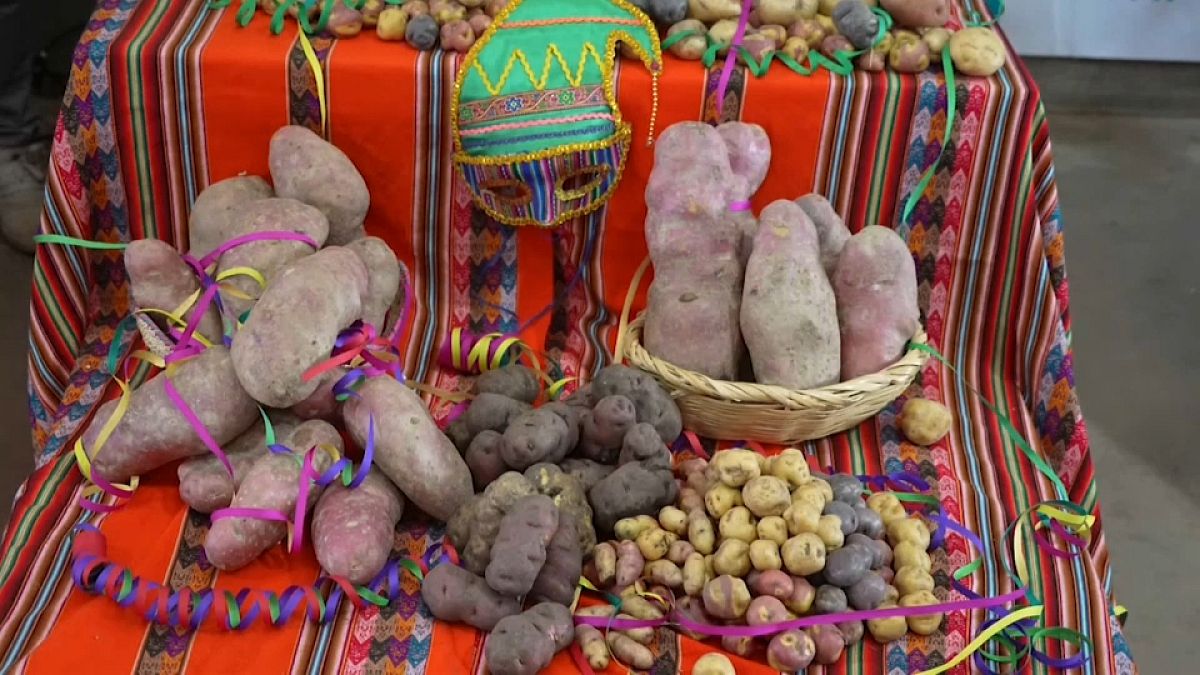 Día Nacional de la Patata en Perú