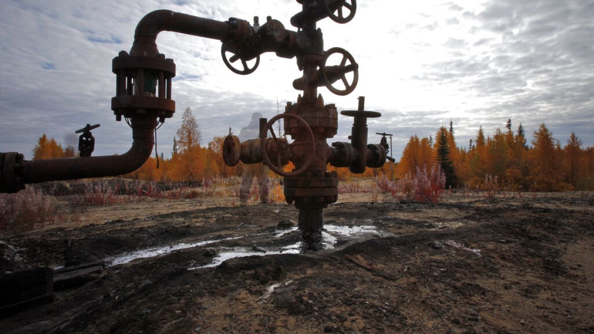 AB Rusya'dan günde 3 ila 3,7 milyon varil Ural petrolü alıyor