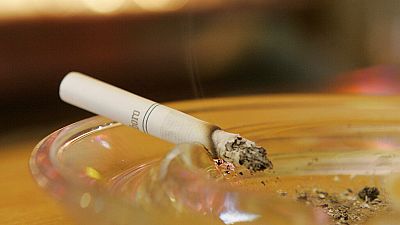 Tobacco industry a "poison" for the environment too, says WHO