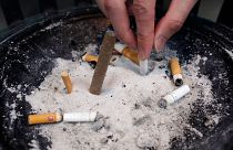 بنابر گزارش سازمان جهانی بهداشت سطح آلایندگی صنعت دخانیات بیش تر از حد تصور است