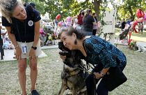 A woman gives a hug to a dog around a temporary memorial set up for victims of shooting in Uvalde, Texas.